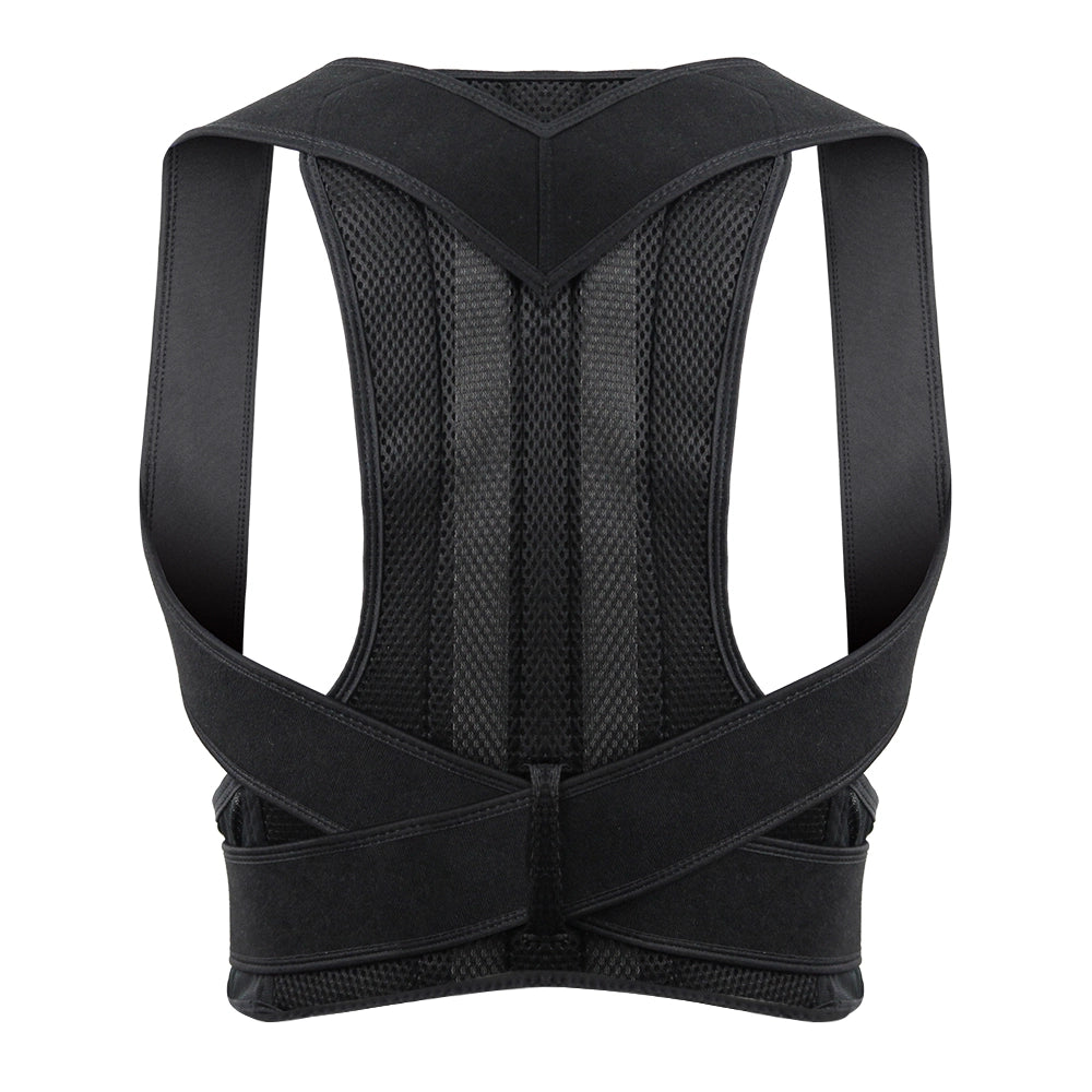 Posture Belt