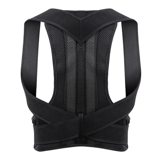 Posture Belt